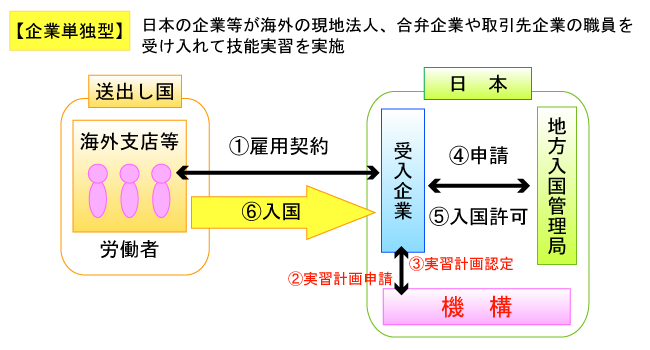 企業単独型技能実習の仕組み